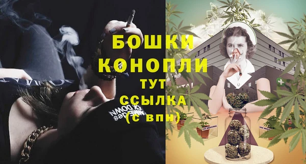 бошки Новодвинск