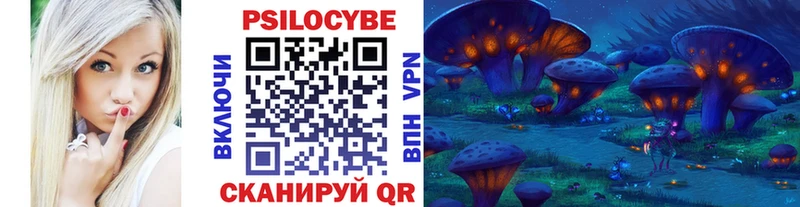 Купить закладки  Яранск  Псилоцибиновые грибы GOLDEN TEACHER 